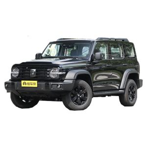 Quality Wey Tank 300 SUV Euro VI Emission Standard and Electric Adjustment Heating Mirror for sale