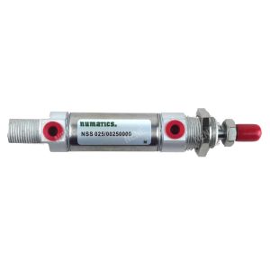 ASCO Numatics DSNU NSS 025/00250000 ASCO Numatics Mini Pneumatic Cylinders