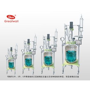 Double-layer Glass Reaction Kettle
