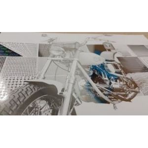 Varnishing Label Enhancing Machine 288mm Image Width