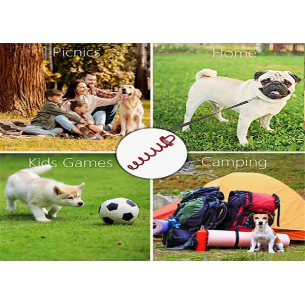 18 Inch Spiral Anchor Stake Up To 500lbs Dog Tie Out