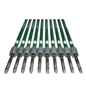 Quality API 11AX Casing Type Downhole Sucker Rod Type Plunger SRP Well Pump for sale