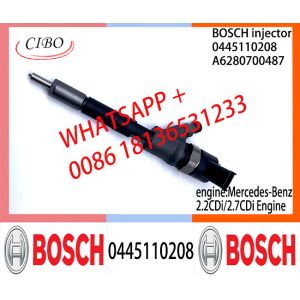 BOSCH Common fuel Injector A62897995870080 0445110207 0445110208 A6280700487