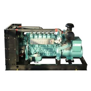 CNG LNG natural gas generator 200kw