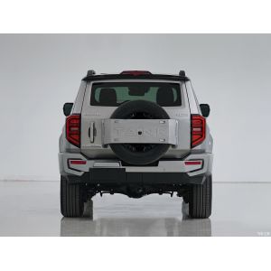 Basic 2.0T Variant Luxury Tank SUV Car Tank 400 2023 Customized