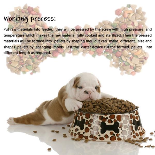 Siemens Inverter 100kg/hr Dog Food Pellet Machine