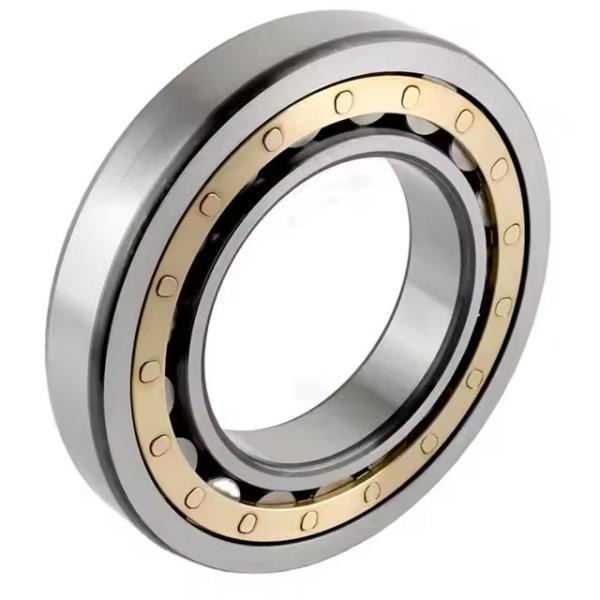 Buy China Brand Cylindrical Roller Bearings NJ306E for Electric Motor.30*72*19mm at wholesale prices