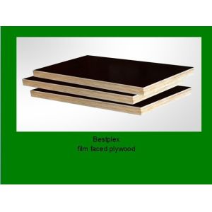 Quality poplar plywood for sale