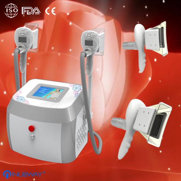 Buy Pulse Cryolipolysis Fat Freeze Slimming Machine Radio Frequency system with two handles at wholesale prices