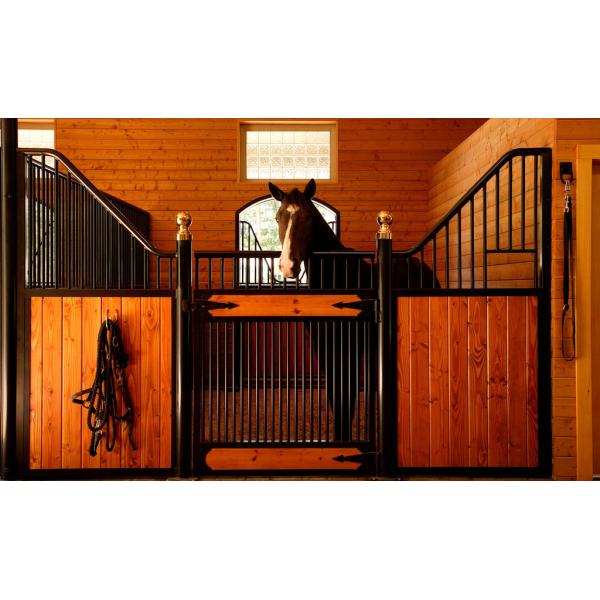 2.2m Height Portable Horse Stable Equipment With Galvanized Steel Tube Stall