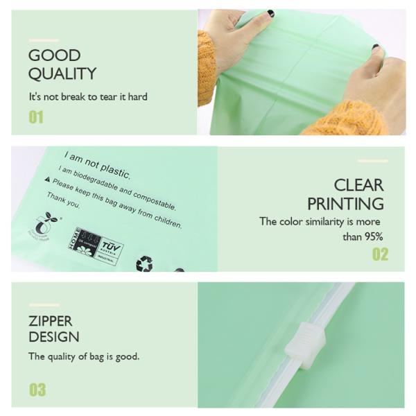 Frosted Biodegradable Packaging Bag