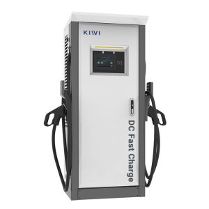 Ultra Fast Charging Station for BMW iX3 i4 i3 OCPP 1.6J/1.5J 380V DC 60KW 100V 3