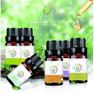 Christmas Aromatherapy Essential Oils Wholesale OEM PackageWith 6 Fragrance