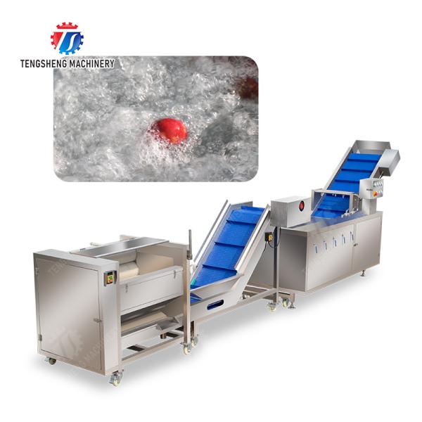 Roller brush bubble washing production line Fruit Vegetable FOOD processing