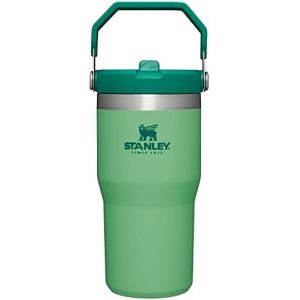 IceFlow Stainless Steel Tumbler with Straw, Vacuum Insulated Water Bottle for