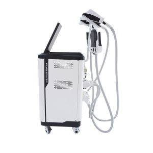Salon Use Cryolipolysis NEO Sculpting Slimming Machine Vertical