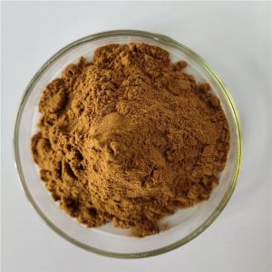 Chinese Herbal Saussurea Involucrata Extract/Snow Lotus Extract