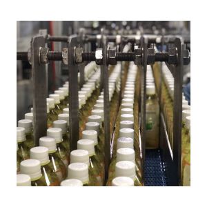 Fully Automatic Vegetable Complete Juice Processing Unit Stainless Steel