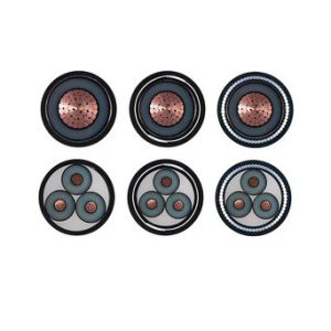 Medium Voltage Power Cable IEC60502 BS6622 VDE N2xsery Yjv32 30kv Copper XLPE