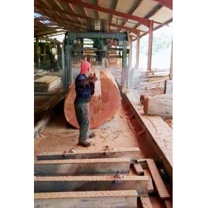 2000mm Portable Swing Blade Sawmill DS2000 Swing Arm Sawmill