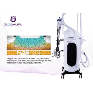 Body Sculpting Cryolipolysis Machine Wind / Water And Semiconductor Cooling