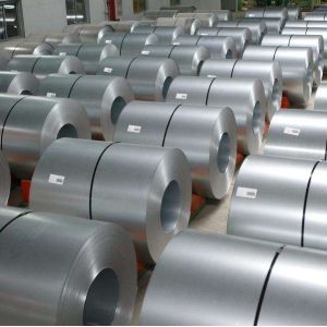 Customized TS550GD Hot Dipped Galvanized Steel Sheet In Coils