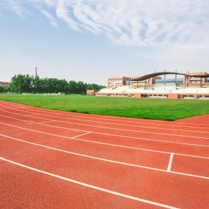 Fire Resistant Sandwich System Running Track Moisture Proof playground