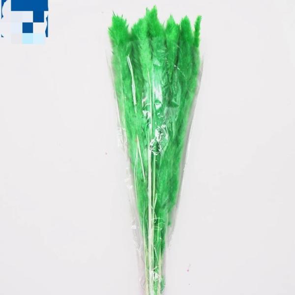 Wholesale Price Preserved Flower Dried Rabbit Tail Grass Decorative Flowers