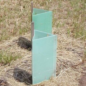 6mm Corrugated Plastic Tree Guard Herbicides Protection