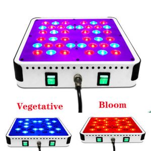 Quality 200w new 5 watt epistar leds Full Spectrum High Power LED Plant Growing Light for sale