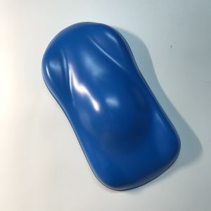 Quality Blue 21cm*11.3cm*5cm Paint Speed Shapes Mould 8g for sale