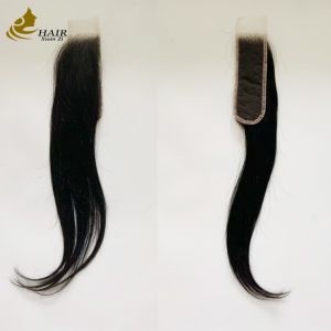 10inch Virgin Human Hair Natural Black Straight Hair Bundles With 10inch HD 2*6