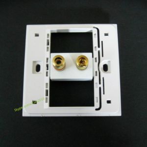 Smart Home Application Wall Socket With Audio Speaker Banana Connector 86x86mm