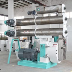 2-4 T/H Ring Die Feed Pellet Mill With Single Conditioner Animal Feed Pellet