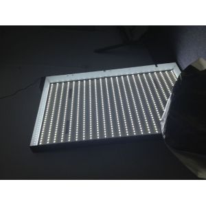 LED Unframed Advertising Light Box