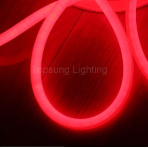 New arrival red neon led round tube 100 led 24v