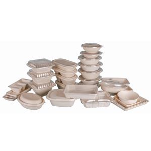 Compostable Takeout Disposable Food Containers Bagasse Lunch Box With Lid