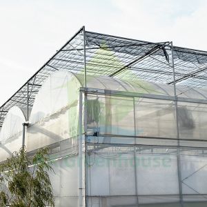 Poly Tunnel Greenhouse for Vegetables Stable Structure Easily Assembled
