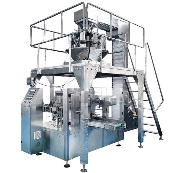 WG210 Automatic Potato Chips Snacks Doypack Packaging Machine Packing Speed