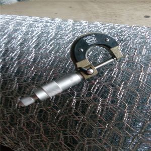 Quality Chicken Wire Vertical Garden Factory for sale