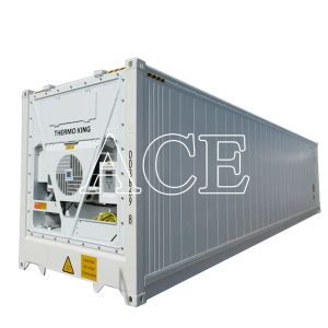 40ft Length Thermo King Freezer Refrigerated Container Internal Dimensions 11979