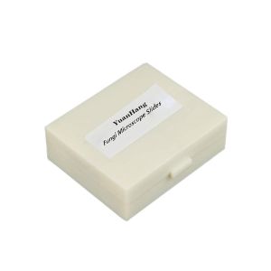 Medical Teaching Research Algae Botany 10pcs Pre Prepared Microscope Slides