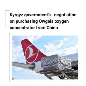 Health Care 5L Portable Oxygen Concentrator Medical Plastic Material