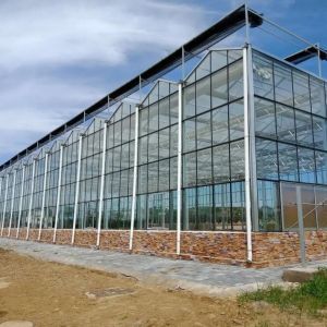 Vegetable Cultivation Soilless Culture Glass Greenhouse Multilayer Planting