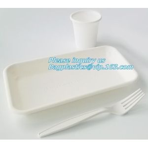 biodegradable meat tray, disposable plate deli tray, biodegradable breakfast