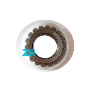 CPM2165 Cylindrical Roller Bearing 20X36.81X16mm Double Row Full Complement