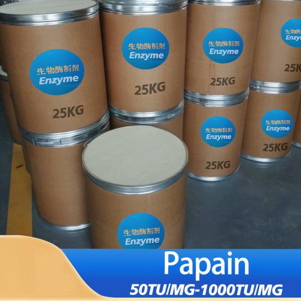 Buy 60000U/G-2400000U/G Papain Protease Enzyme Activity Customized at wholesale prices