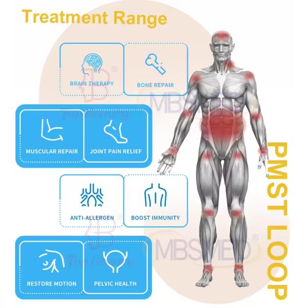 2024 Pmst Double Loop Mat Physical Therapy Physio Portable PEMF Magnetic Therapy Device