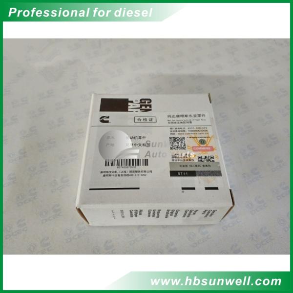 Cummins 2878168 3017325 3820566 Camshaft Lining,Cummins Camshaft Bush,Cummins M11 QSM11 ISM11 Bushing Engine Parts