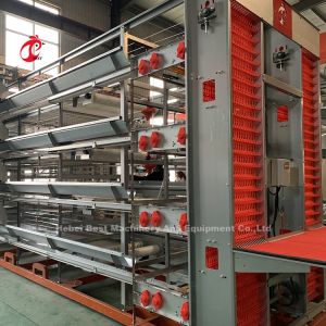 25 Years Lifespan A H Type Automatic Chicken Cage Equipment For Layers Broilers